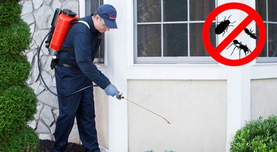 Artova Hamam Böceği İlaçlama böcek ilaçlama ve haşere kontrolü — ilaclama-tr.com